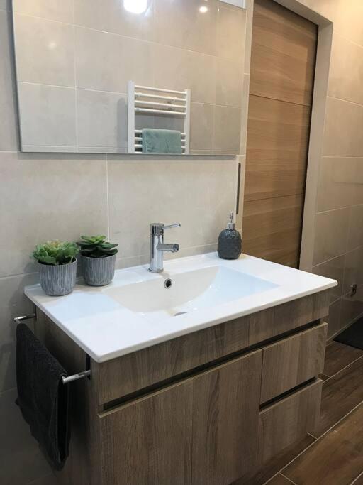 Studio 25M2 En Plein Coeur De Perpignan Dış mekan fotoğraf