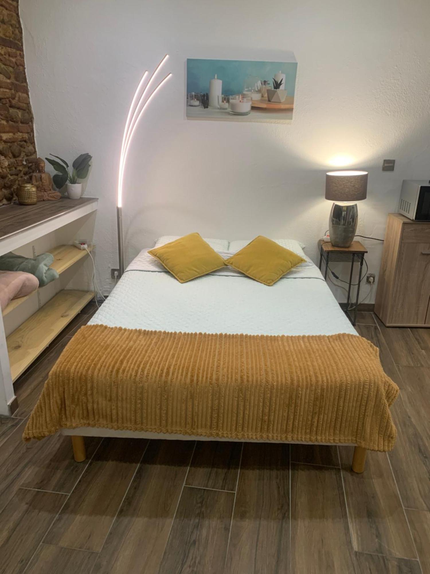 Studio 25M2 En Plein Coeur De Perpignan Dış mekan fotoğraf